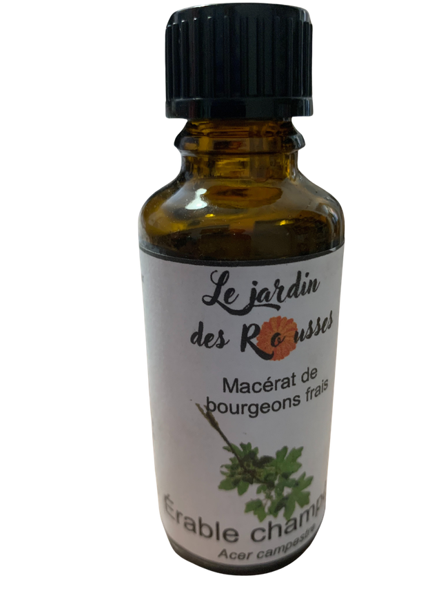 ERABLE CHAMPETRE -  Macérât glycériné de bourgeons Flacon de 30 ml 
