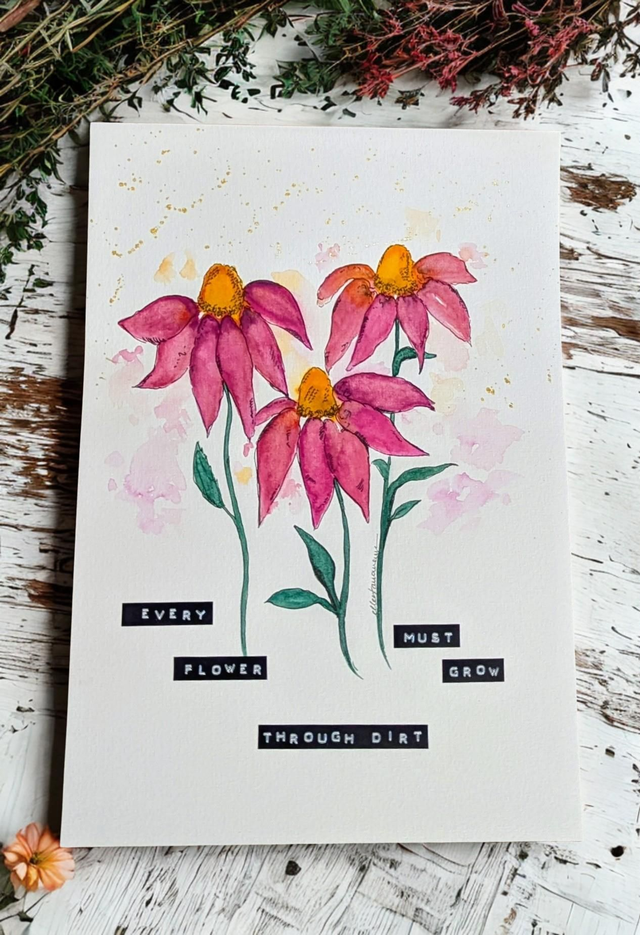 Échinacées - Aquarelle originale A4 