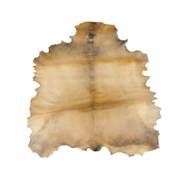 41_Peau de chèvre parcheminée