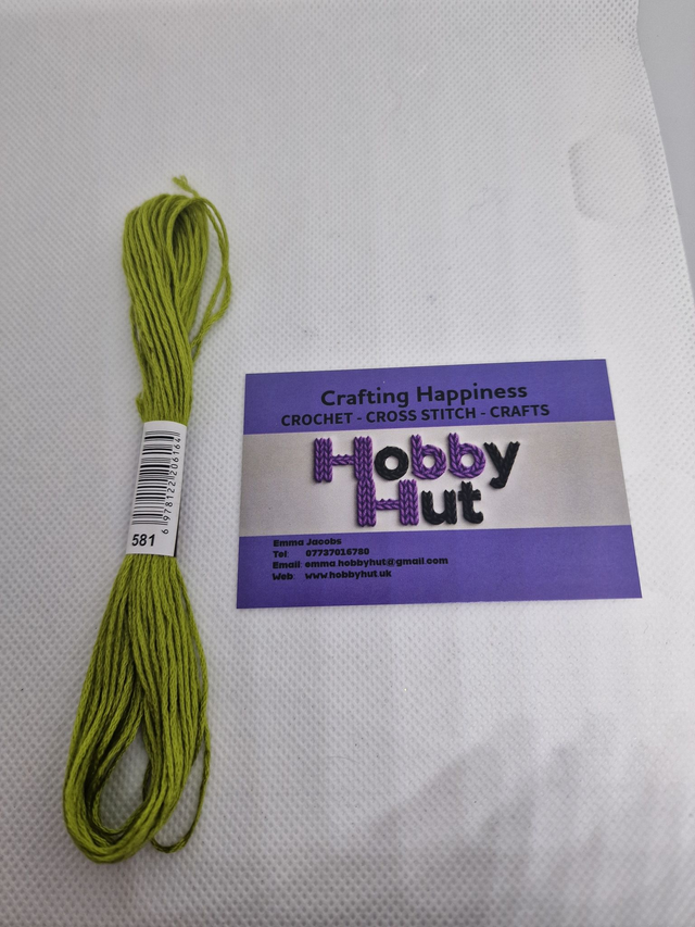 Embroidery Thread - 581