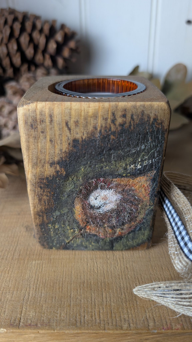 Hedgehog sleeping on leaf - with Glass Tealight Holder