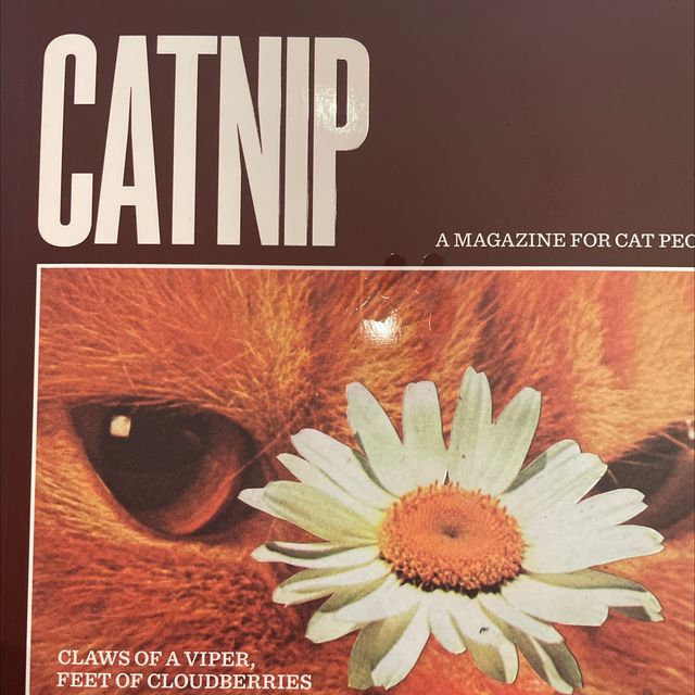 Catnip