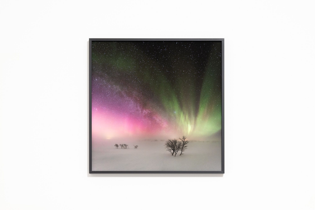 Photo &quot;Le contraste lapon&quot; en grand format et très haute qualité