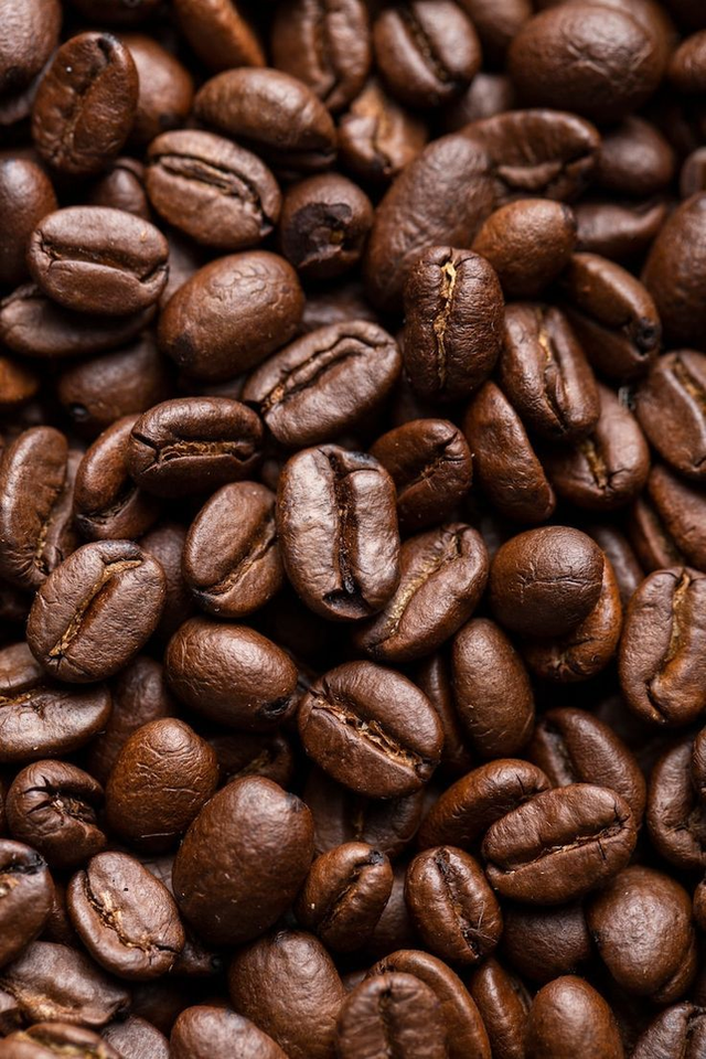 Kolumbianische Kaffeebohnen Bio