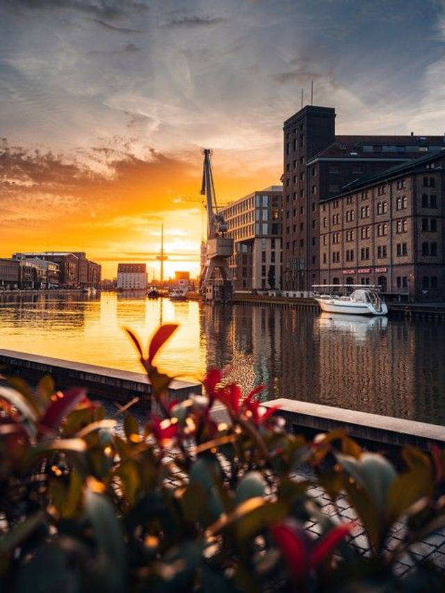 Stadthafen mit Blüten im Vordergrund
