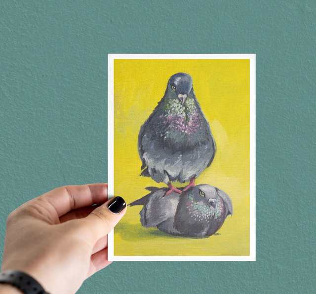 Pigeon Couple