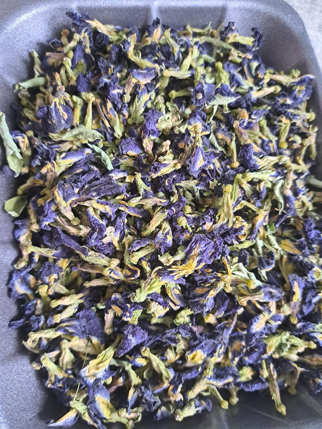 Butterfly Pea Flowers Herbal Tea