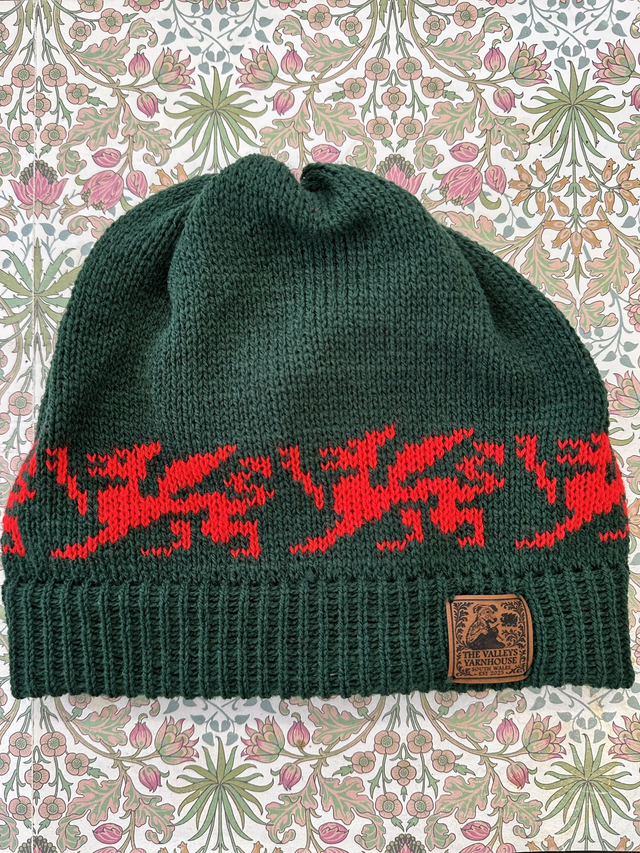 Y Ddraig Hats