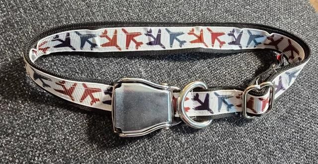 ᴄᴀɴ:ꜱ - Fly High -