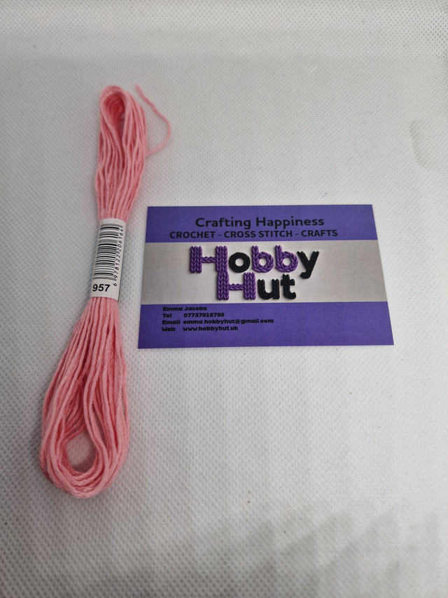 Embroidery Thread - 957