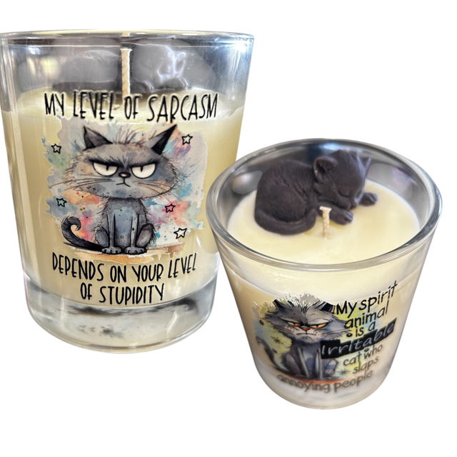 My Level of Sarcasm… Cat Fragrances Candle 