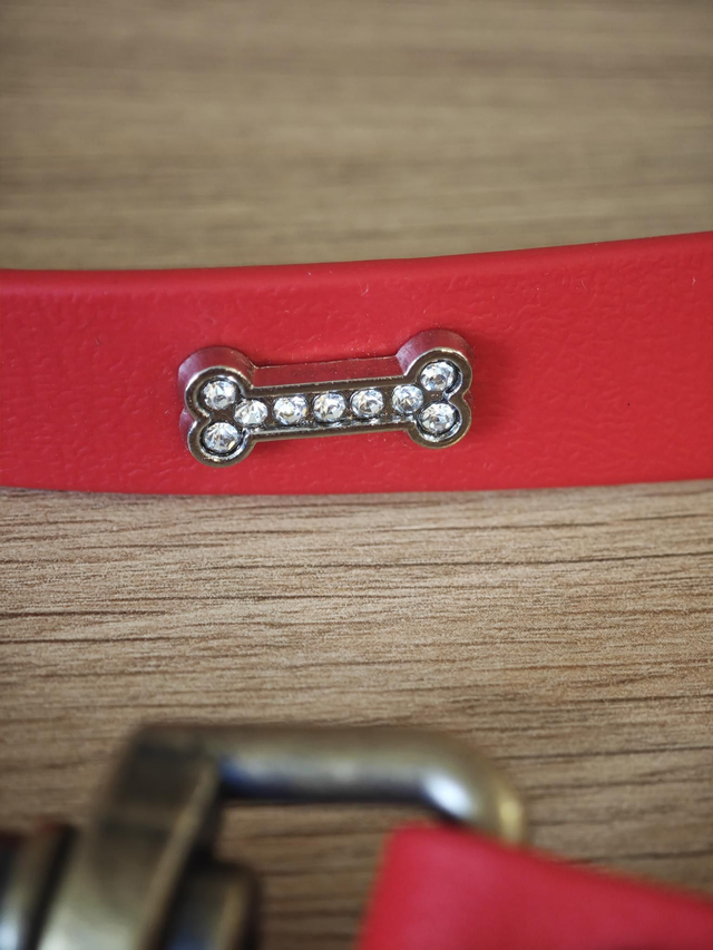 Laisse 19mm biothane de 1,25m de longueur !