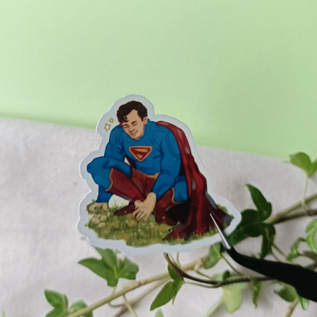 pretty boy - vinyl sticker