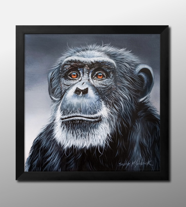‘Mr Wise Eyes’ Original Painting