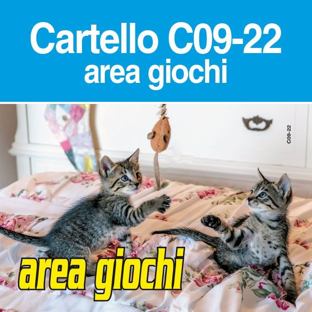 Area Giochi C09-22