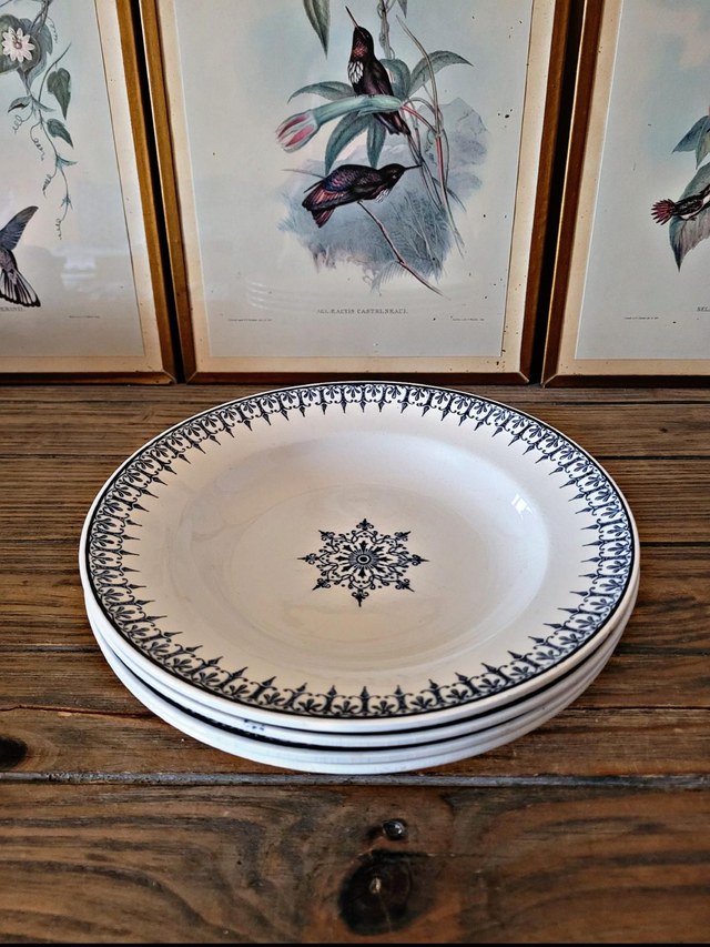 X Assiettes creuses Saint Amand Primax, terre de fer bleu début 1900