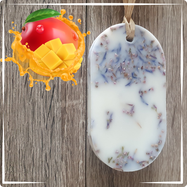 Palet désodorisant Mangue