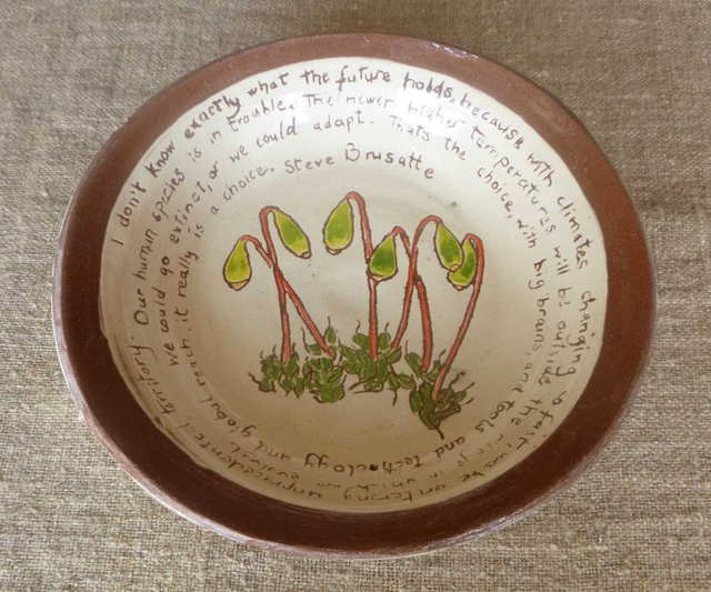 JBY113 Extinction Quotation bowl by Jane Bisby, 5 x 25cm red earthenware