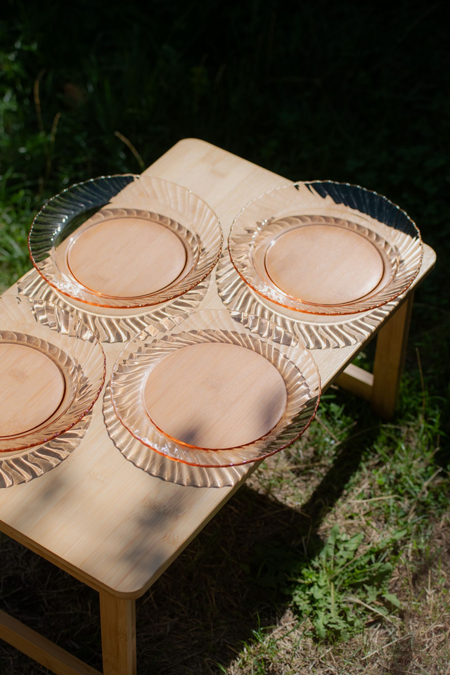 Lot de 4 assiettes rosalines Arcoroc ✨