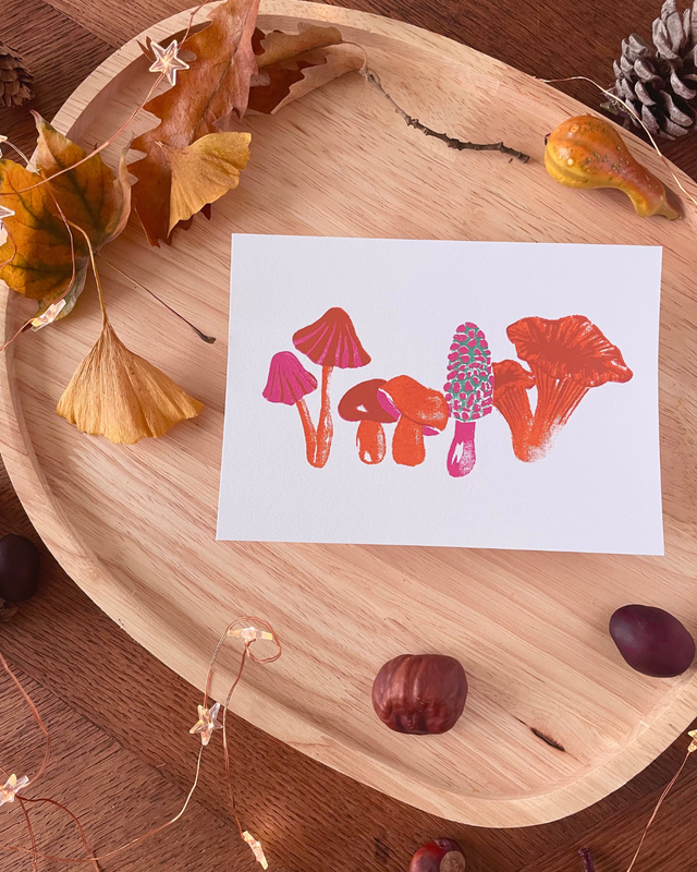 Carte postale, Les champignons 