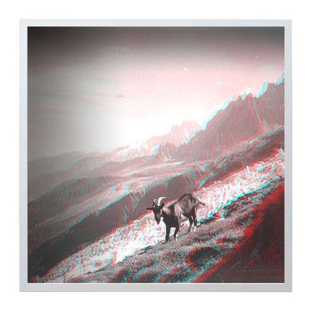 Chèvres devant le glacier des Bossons - 50x50 cm