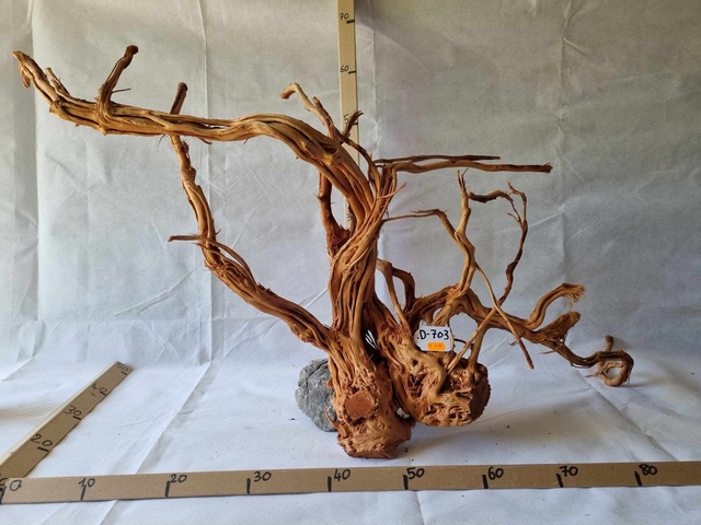 Racine Dragon Skin D-703