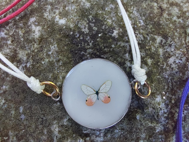 Bracelet papillon blanc