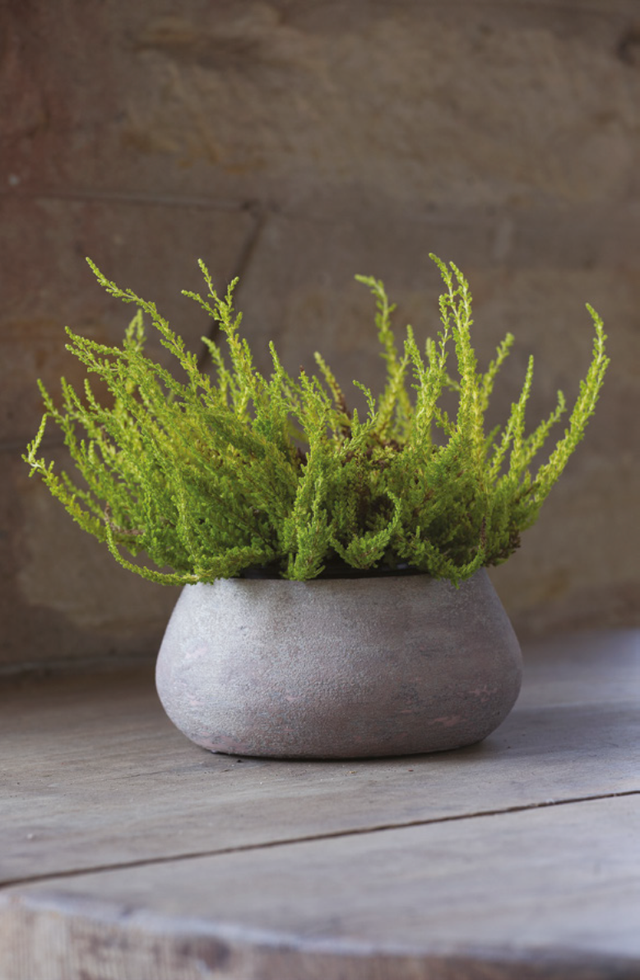 K14 . Erika ciotola 19