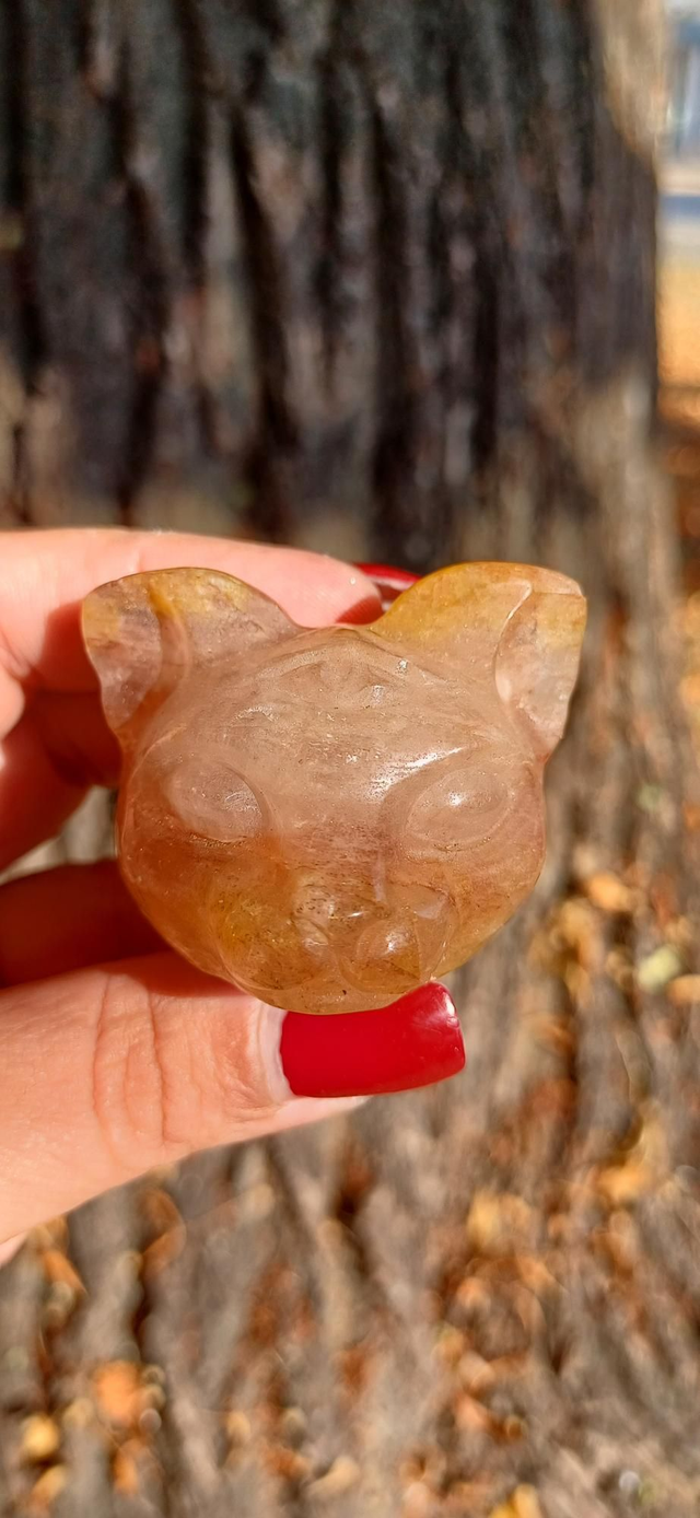 Golden Healer Third Eye Cat head