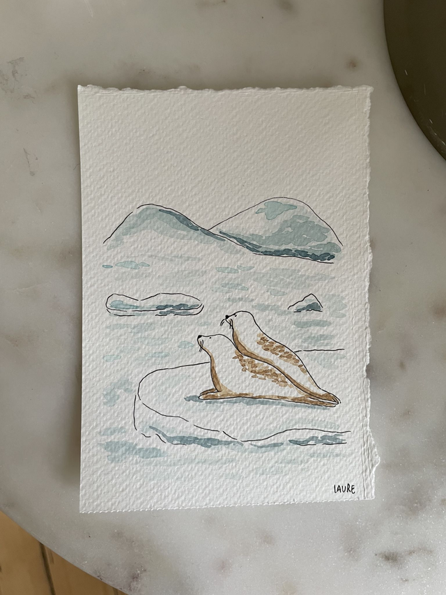 Aquarelle phoques sur la banquise