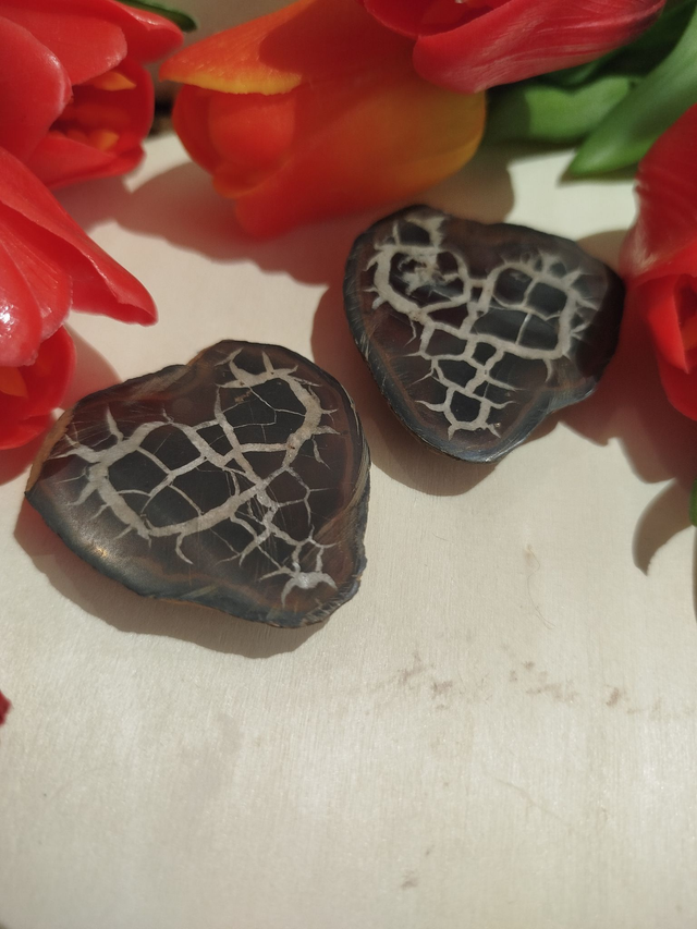 💛 Cœur en Septaria – Pierre de Sagesse et d’Ancrage