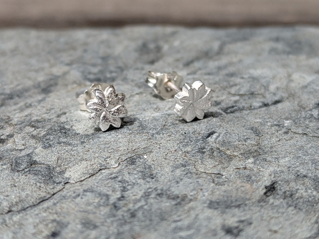 Small Star Anise Earrings 