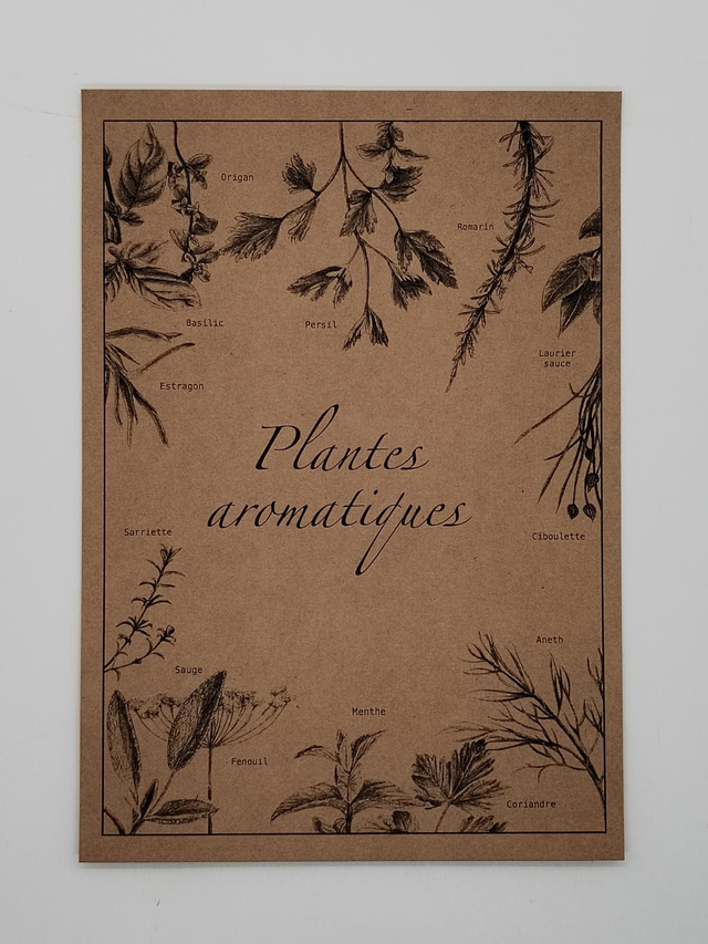 Plantes aromatiques 