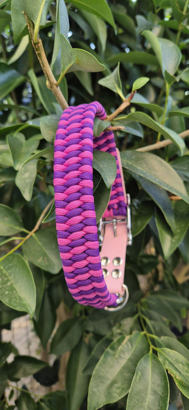 Collier biothane - Taille L