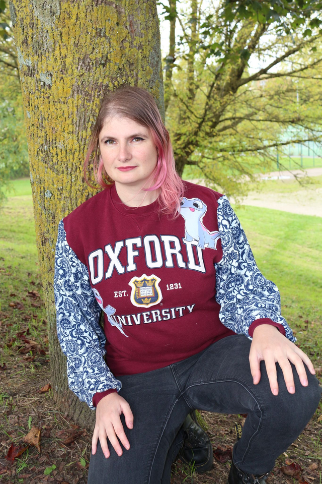 Pull Sweat Recyclé - Thème Bruni de La Reine des Neiges  Taille S