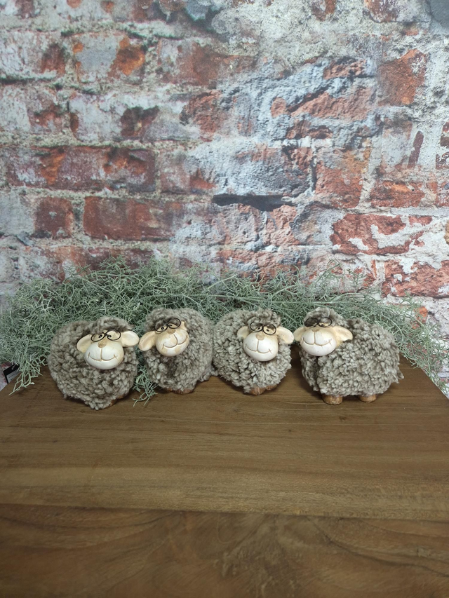 Schaapje Countryfield