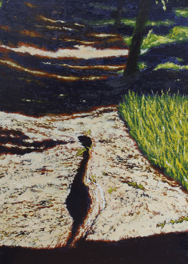 Korzeń albo wąż, 46x33 olej płótno 2020