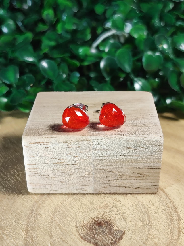 Clous d&#039;oreilles - Clarion