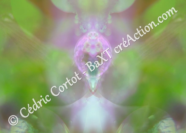 Carte postale - Entre réel et irréel (Ref IMG_C5)