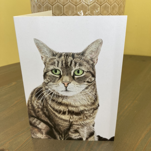 Cat Card Collection 
