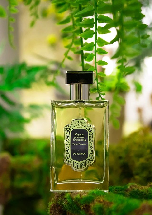 Eau de Parfum - 100ml - Darjeeling (Groene Thee met Gember) 