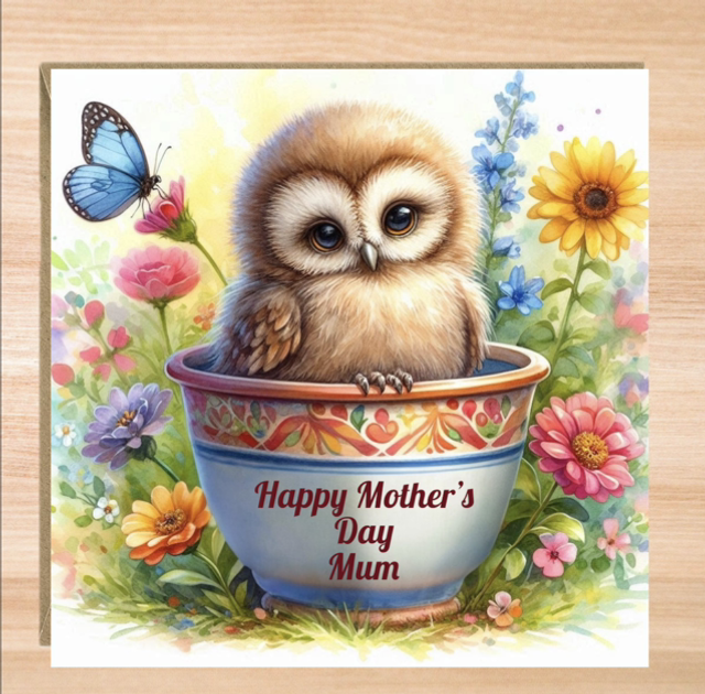 Personalised Owl Mother’s Day Card