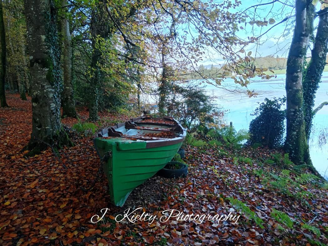 Safe and sound at Hazelwood, Lough Gill, County Sligo. 