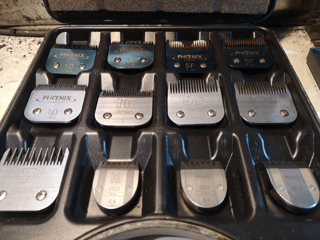 Affûtage tête de coupe canin/coiffeur