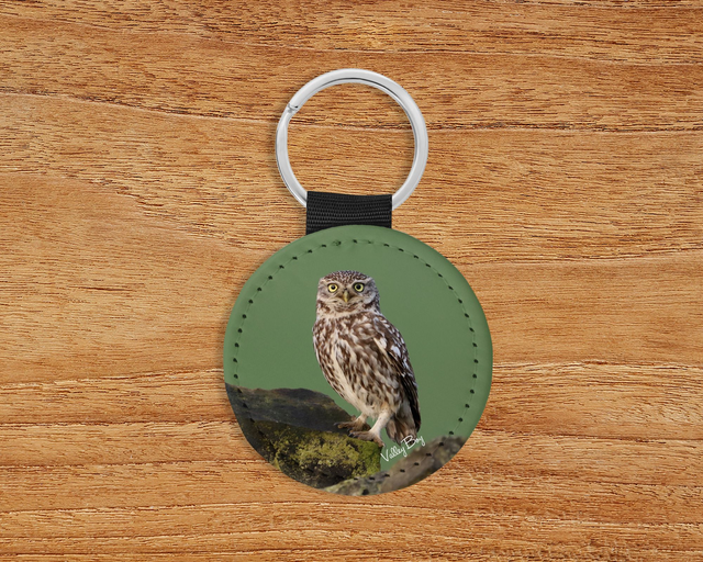 “Little Owl” Keyring 