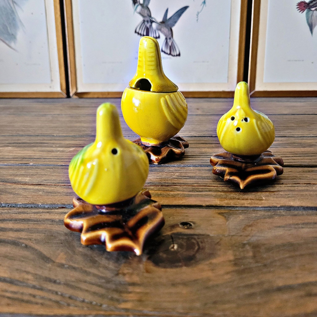 X Ensemble salière poivrier et moutardier en barbotine forme oiseau