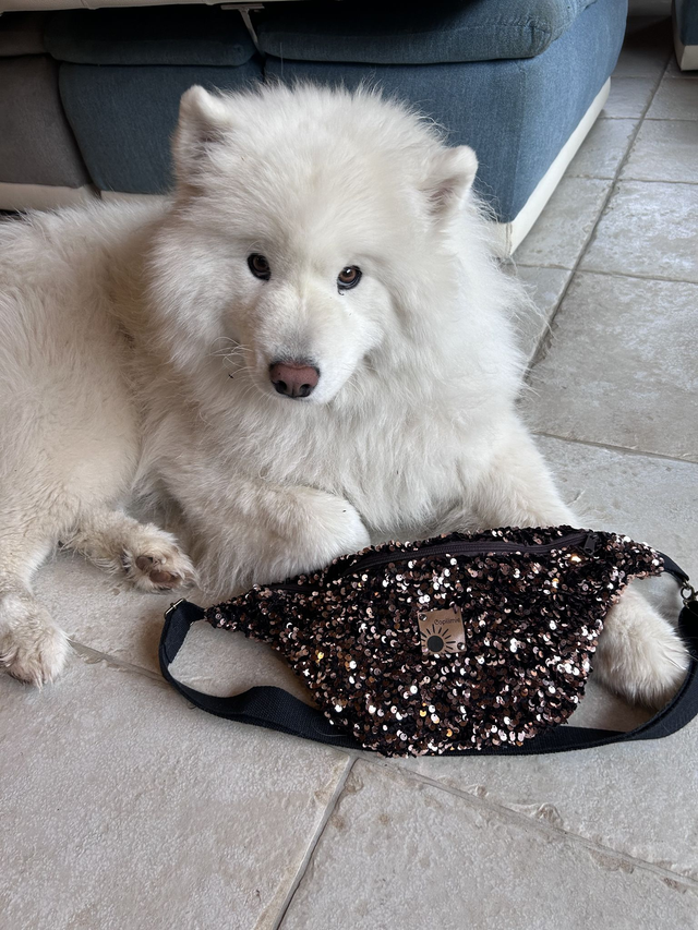 Banane à paillettes 