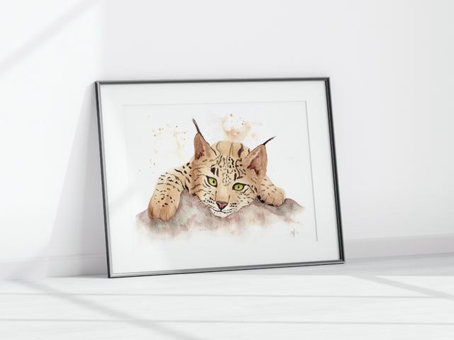 The Iberian lynx deserves a rest - Print