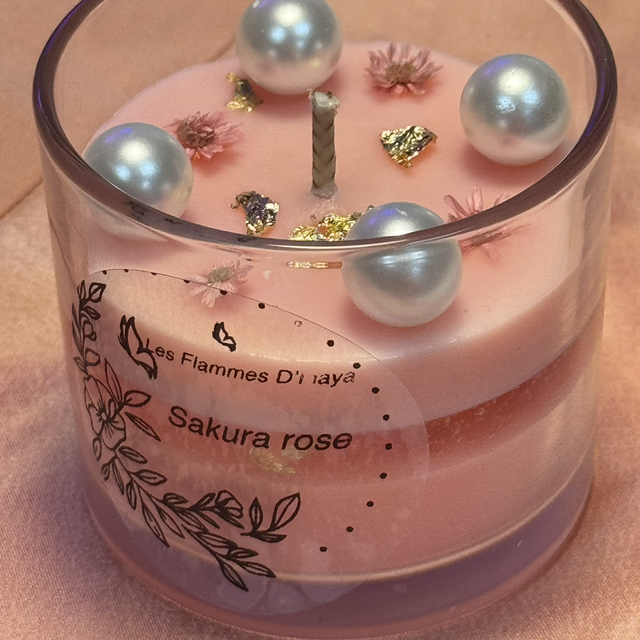 Sakura rose 