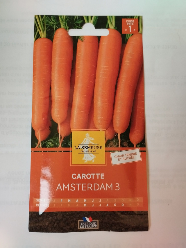 Carotte d’Amsterdam